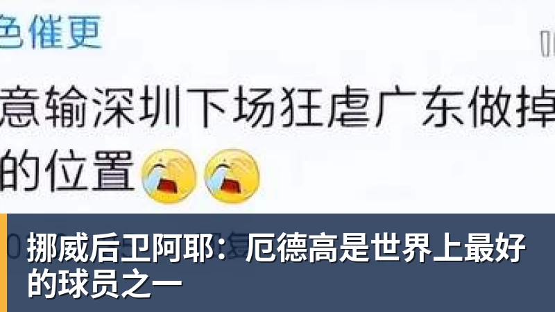 挪威后卫阿耶：厄德高是世界上最好的球员之一